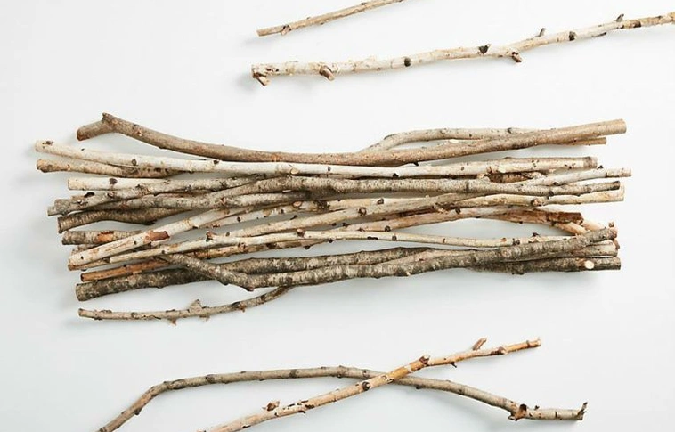 Ilyen van? 15 ezer forintért árulnak egy köteg gallyat