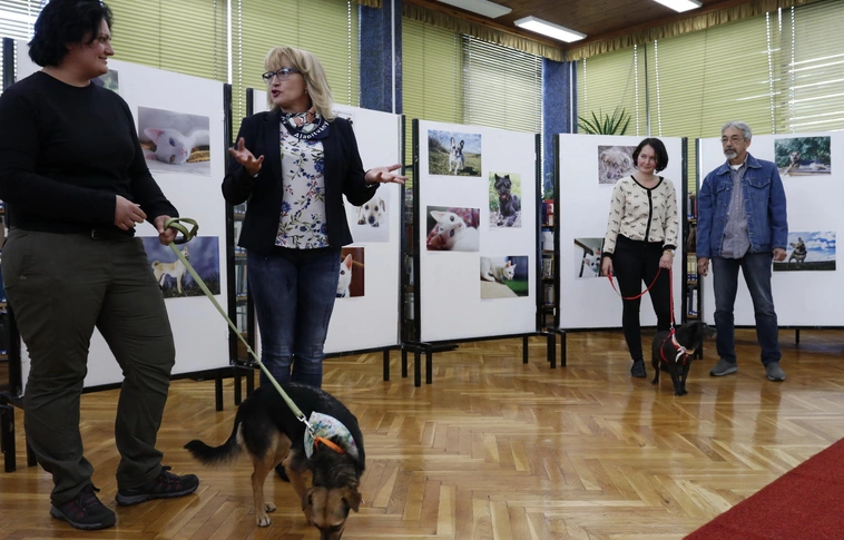 Csillogó szemű kisállatok költöztek a könyvtárba 