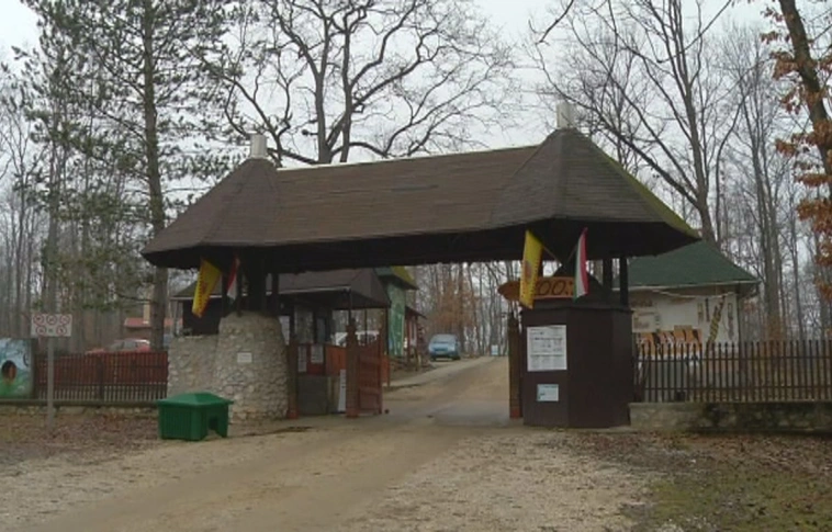 Mobilitási Hét a Miskolci Állatkertben