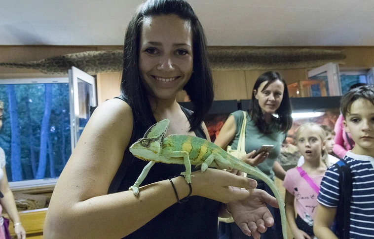 Egy varázslatos éjszaka az állatkertben – VII. Állatkertek Éjszakája Miskolcon is