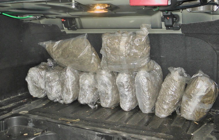 26 millió forint értékű marihuána-fogás Röszkénél