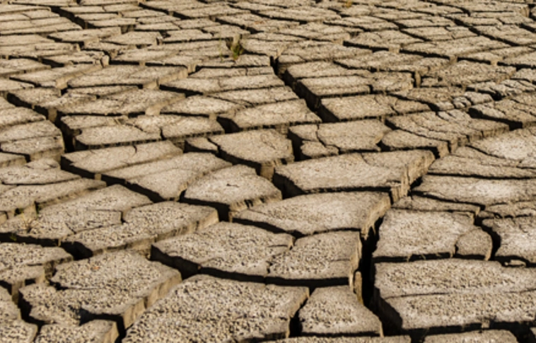 Az agrárkamara is teszteli az aszálymonitoring-rendszert