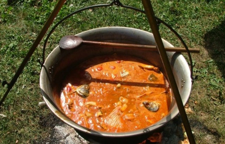 Légi bemutatót és lovas parádét is terveztek a tiszacsegei halászléfesztiválra