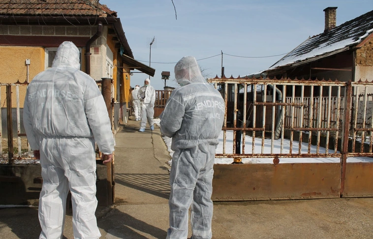 Emberölés Komorón