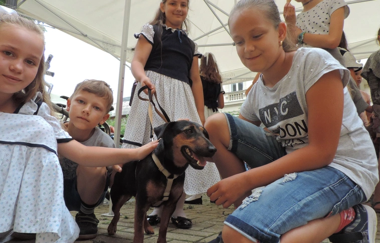 Egyszer volt Miskolcon kutyavásár (Képgalériával!)