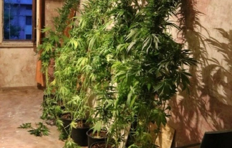 Csőtörés buktatta le a dílert (Videóval!)