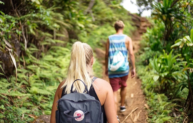 A rendőrök segítettek egy eltévedt kirándulónak a Bakonyban