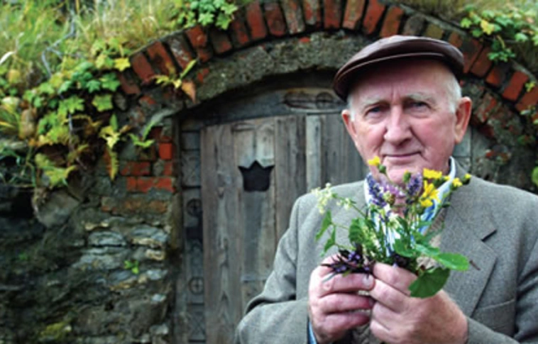 Öt gyógynövényes tipp a megfázásos panaszokra a bükki füvesembertől