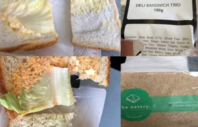 Borzalmas szendvicseket kapott egy férfi a repülőn, fotót is készített