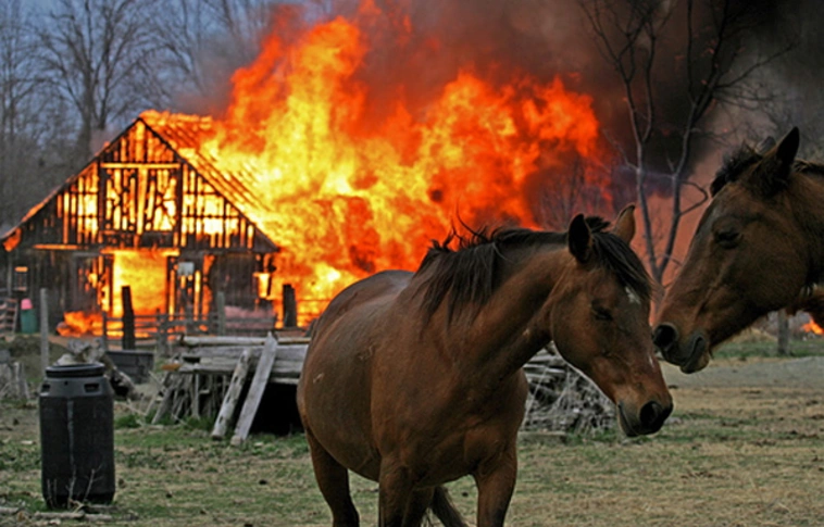 Istállótűz, balesetek – Bőven volt dolguk a megye tűzoltóinak