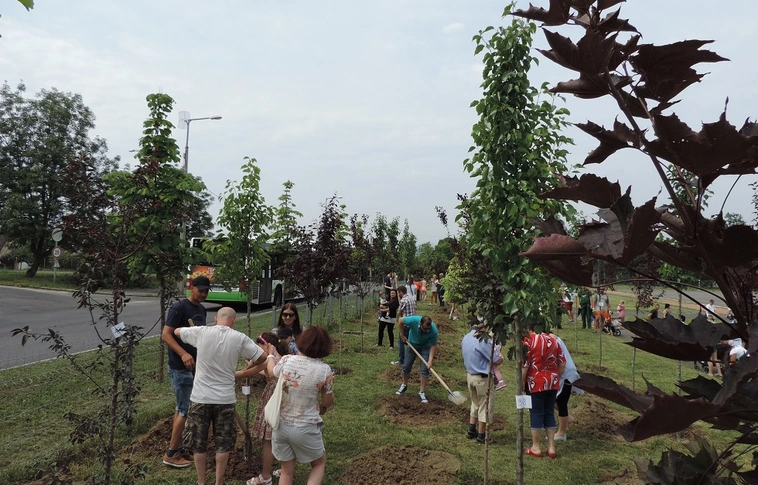 55 gyermek, 55 facsemete – Tovább bővült az avasi újszülöttpark