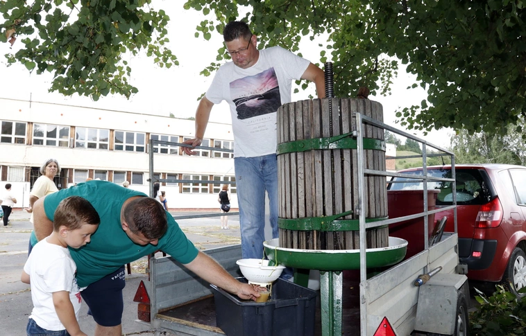 Szüreti hangulatban Diósgyőrben (Képgalériával!)