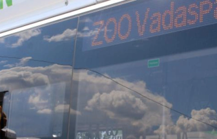 ÉjszakáZOO járatok az Állatkertek éjszakáján