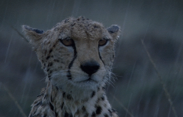Lecsap a hidegfront, esőre és szélre készüljön