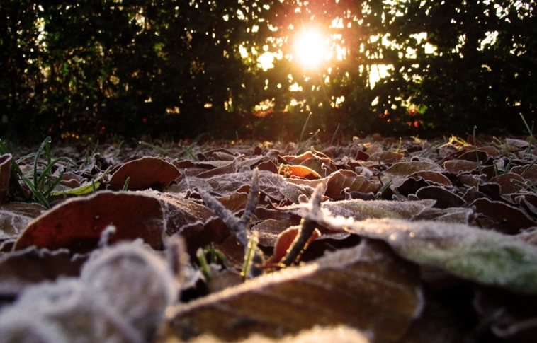 Közel fél évszázada mértek olyan hideget, mint hajnalban