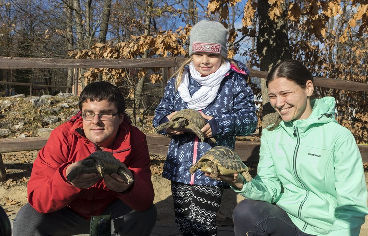 Családi nap a Miskolci Állatkertben, a télre való felkészülés jegyében (Képgalériával!)