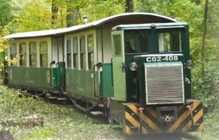 Lombhullató vonatozás Mahócára október végén