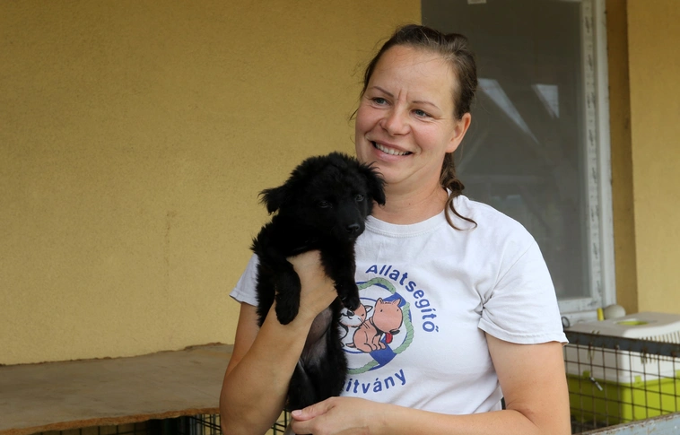 Szereti az állatokat? – Hozza el a könyvtárba adományát!