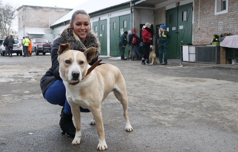 Századik nyílt nap a Miskolci Állategészségügyi Telepen (Képgalériával!)