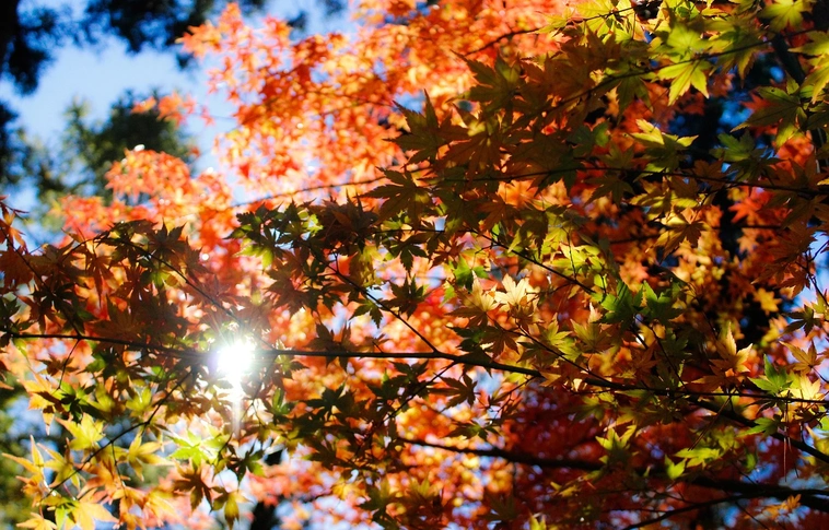 Megdőlt az országos napi melegrekord