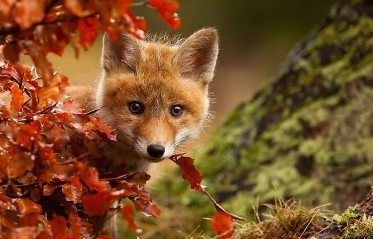 Némileg mérséklődik a meleg a hosszú hétvégén