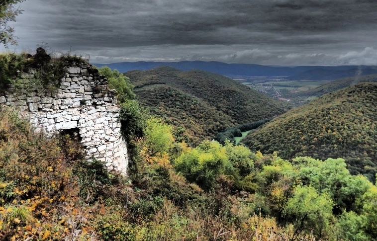 Kutatás földön és neten