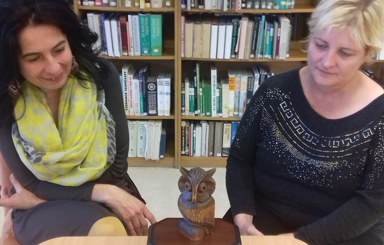 Vándorbagoly a miskolci Mesebirodalomban