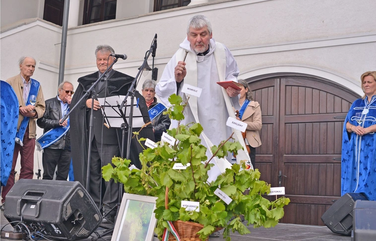 Megszentelték a szőlővirágot