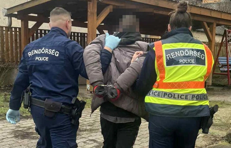 sályi betörő police