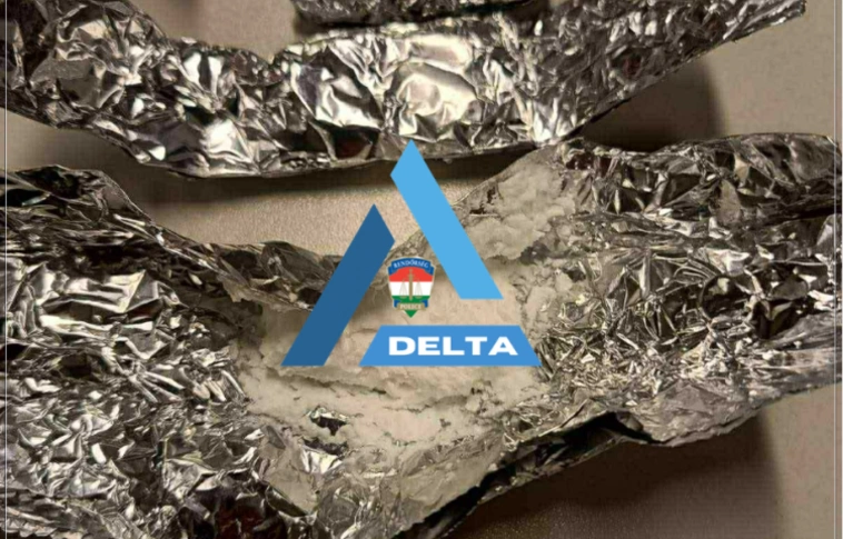 Delta Program