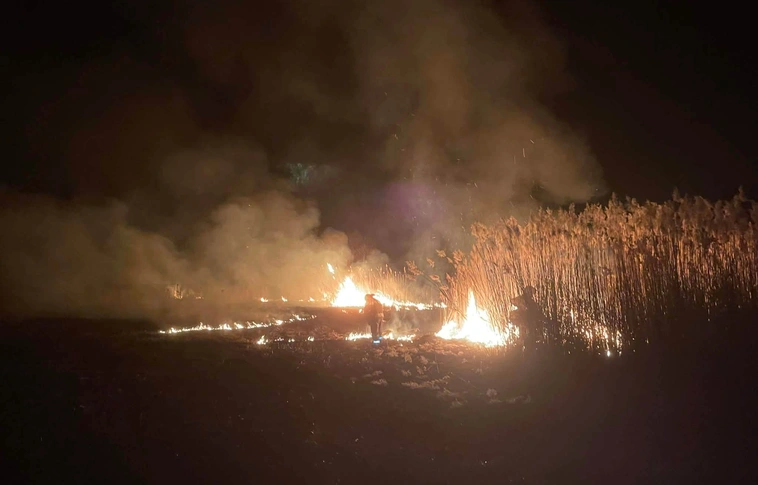 nádas égett tűz katasztrófavédelem