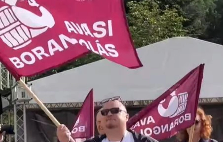 14. Avasi Borangolás