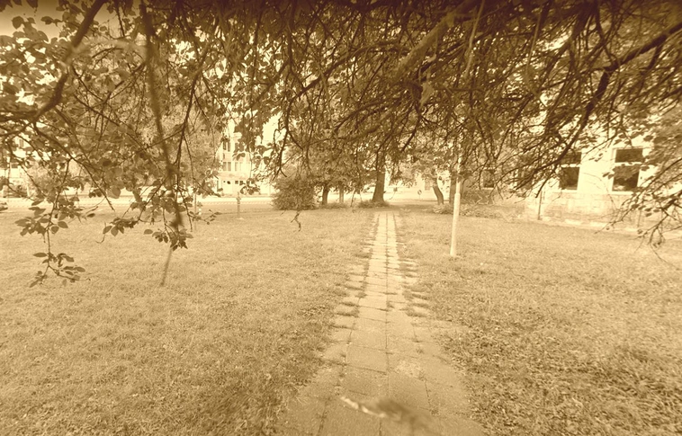 állatkínzás Miskolc park