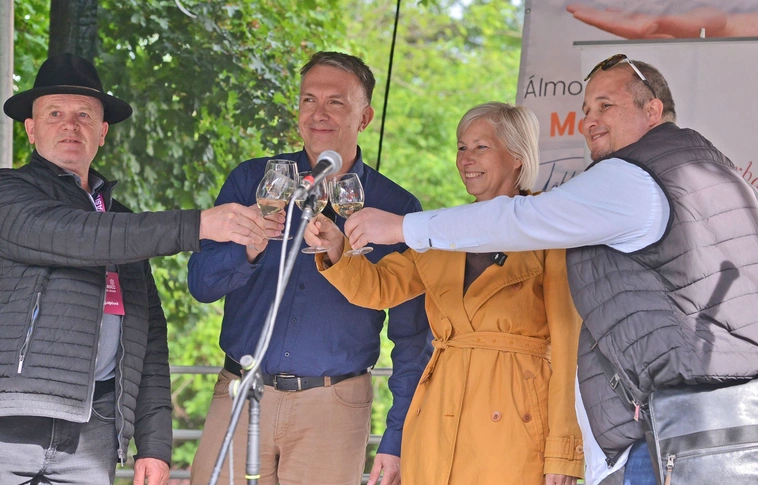 Borangolás megnyitó