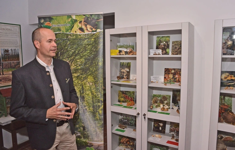 Liofilizált gombagyűjtemény kiállítás