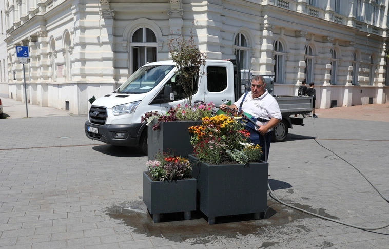 Virágosítás a Városház téren