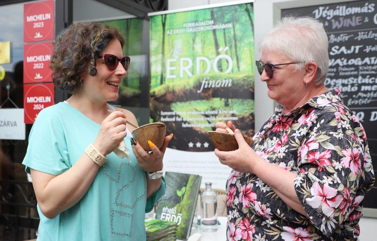 Erdei Gasztroexpressz élménytúra