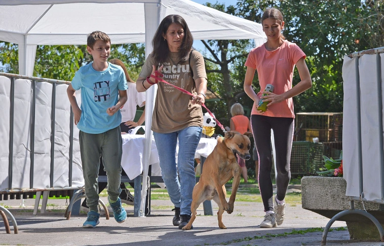 Nyílt Nap a Miskolci Állategészségügyi Telepen