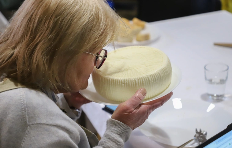 Sajtverseny és konferencia a Baráthegyi Majorságban