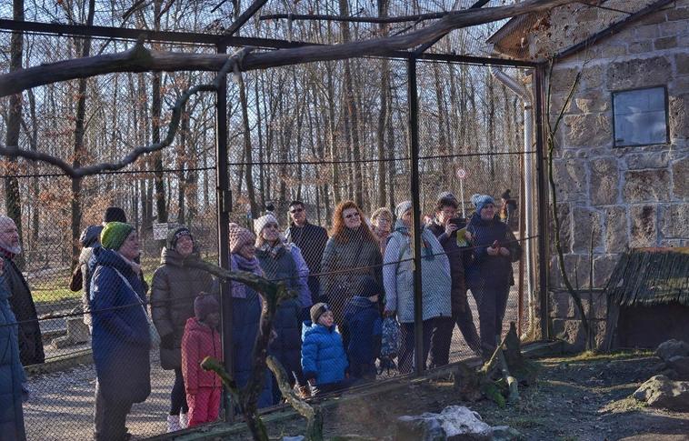 Állatok karácsonya