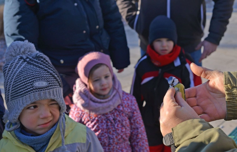 Ünnepi madárgyűrűzés