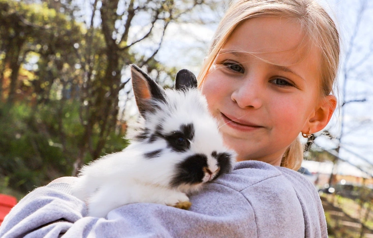 Húsvéti Családi Nap a Baráthegyi Majorságban