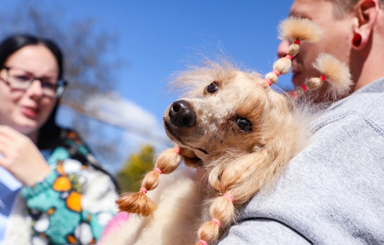 Nyílt nap és jótékonysági fotózás az Állategészségügyi Telepen