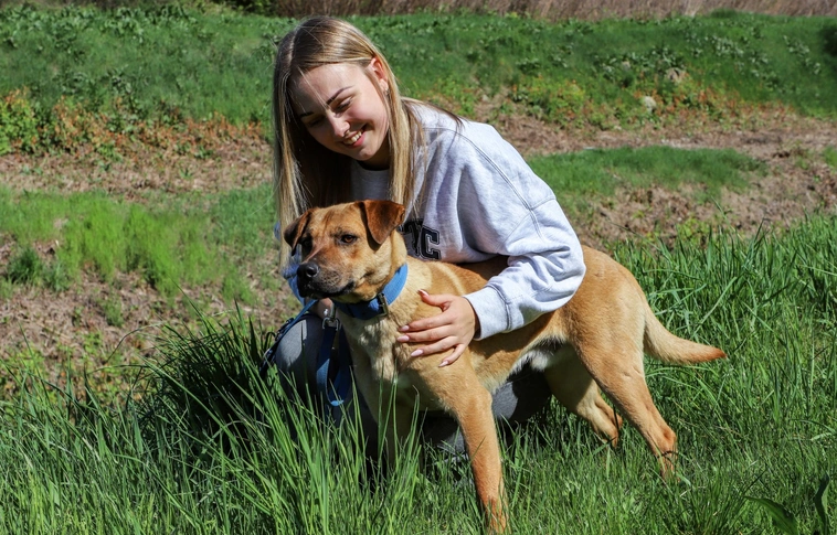 Nyílt nap és jótékonysági fotózás az Állategészségügyi Telepen