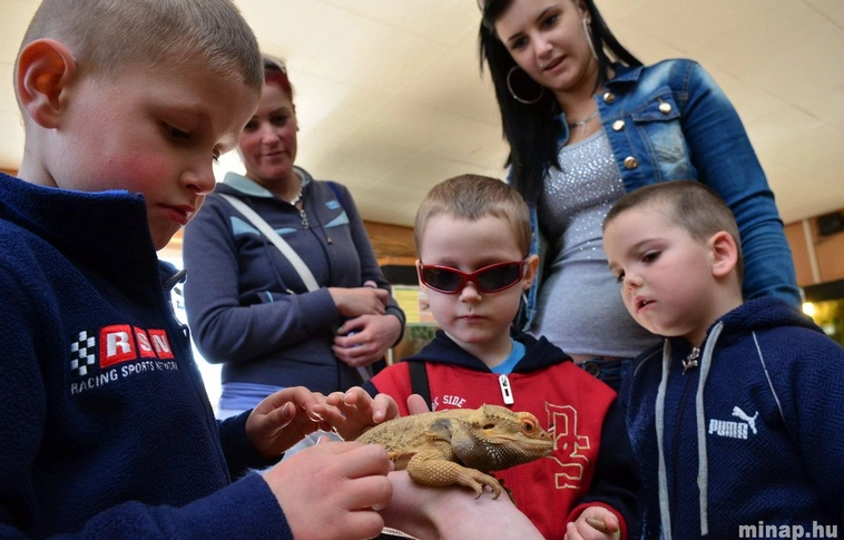 Szezonnyitó a miskolci állatkertben