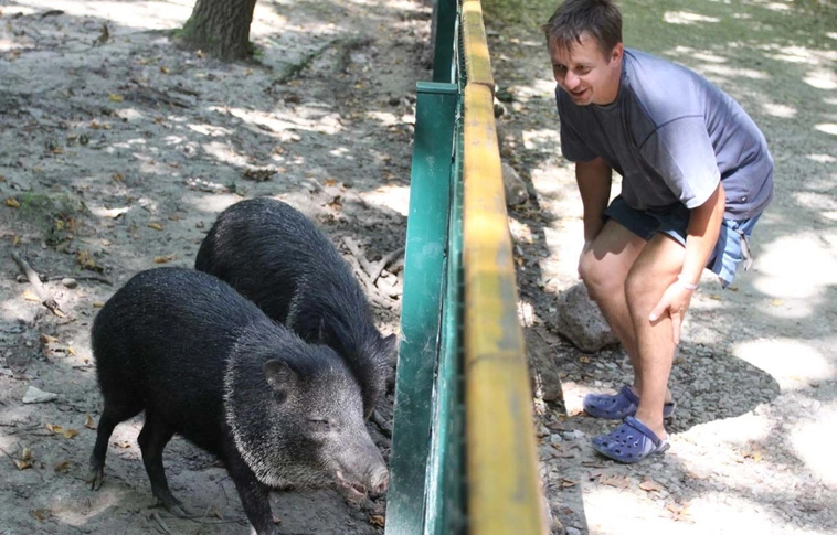 27éves a Miskolci Állatkert