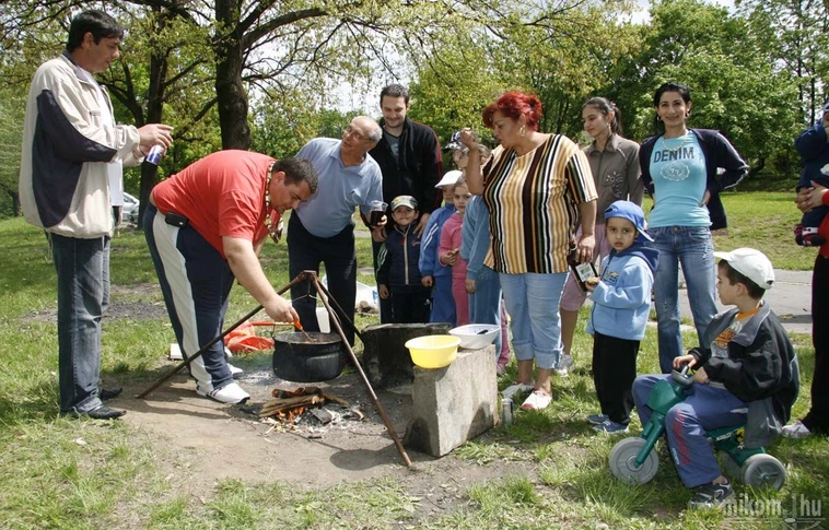 Roma majális