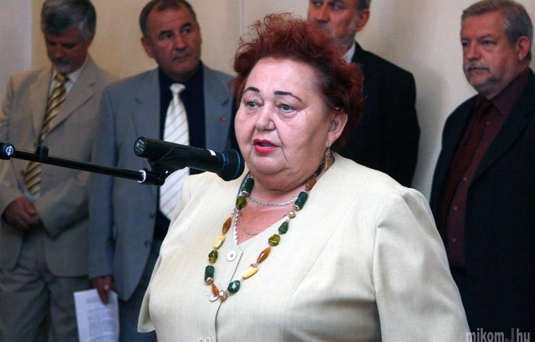 "Fejezetek a lengyel-magyar közös történelméből" című kiállítás megnyitója