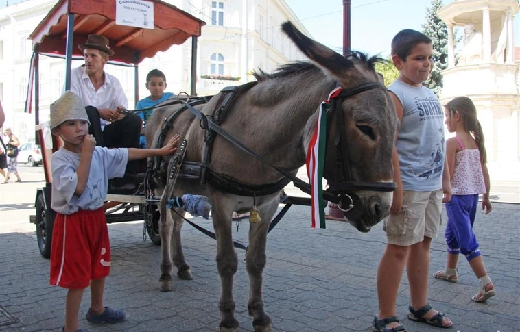 Családi programok a Szent István téren augusztus 20-án