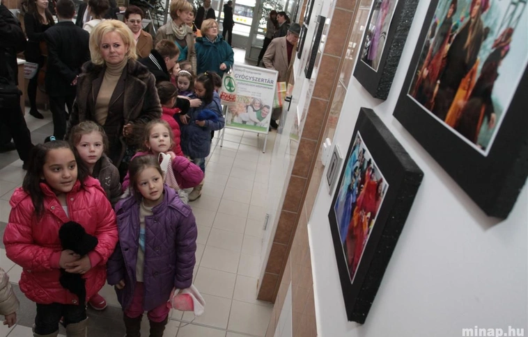 Avasi Farsangi Karnevál 2013/2014 Kiállítás megnyitó